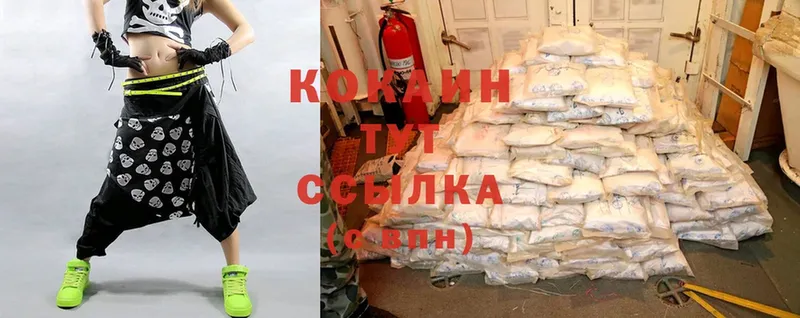 купить наркотики цена  кракен ТОР  Cocaine 99%  Петропавловск-Камчатский 